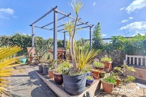 Photo 12- click for photo gallery